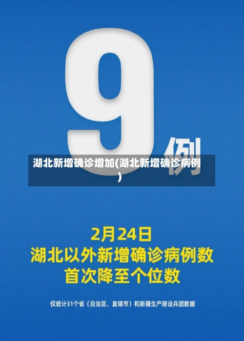 湖北新增确诊增加(湖北新增确诊病例)-第2张图片