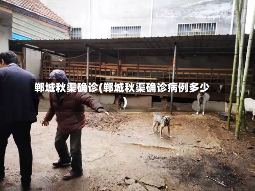 郸城秋渠确诊(郸城秋渠确诊病例多少)-第2张图片