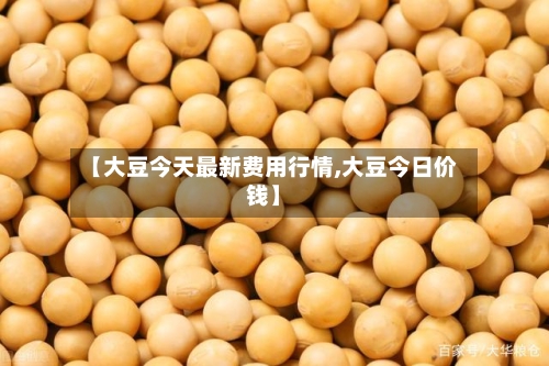 【大豆今天最新费用行情,大豆今日价钱】
