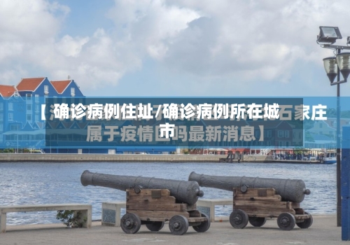 确诊病例住址/确诊病例所在城市
