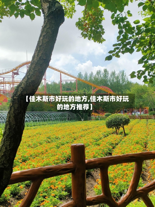 【佳木斯市好玩的地方,佳木斯市好玩的地方推荐】