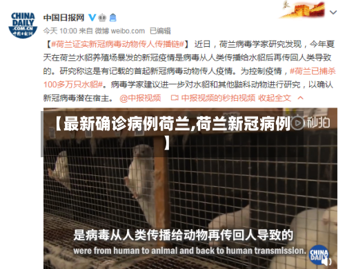 【最新确诊病例荷兰,荷兰新冠病例】