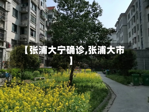 【张浦大宁确诊,张浦大市】
