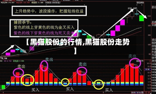 【黑猫股份的行情,黑猫股份走势】-第3张图片