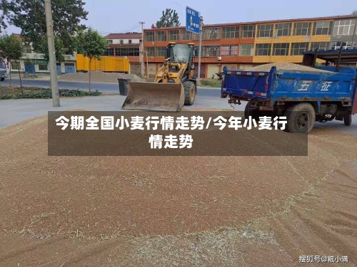 今期全国小麦行情走势/今年小麦行情走势