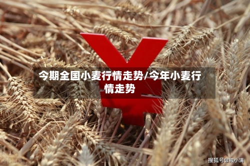 今期全国小麦行情走势/今年小麦行情走势-第2张图片