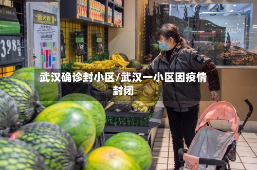 武汉确诊封小区/武汉一小区因疫情封闭