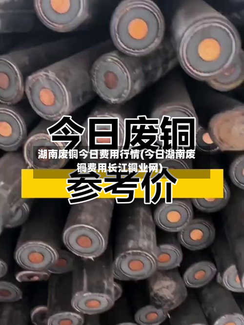 湖南废铜今日费用行情(今日湖南废铜费用长江铜业网)-第2张图片
