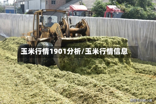玉米行情1901分析/玉米行情信息