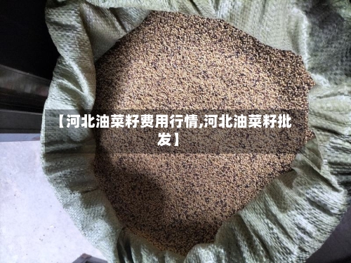 【河北油菜籽费用行情,河北油菜籽批发】