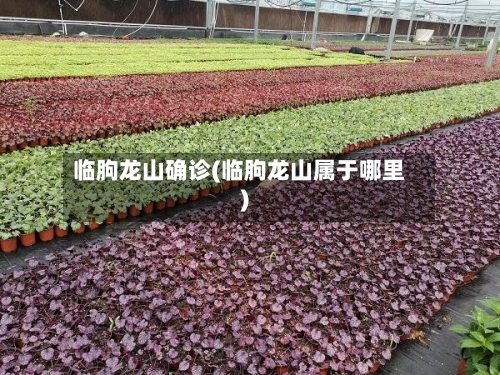 临朐龙山确诊(临朐龙山属于哪里)-第2张图片