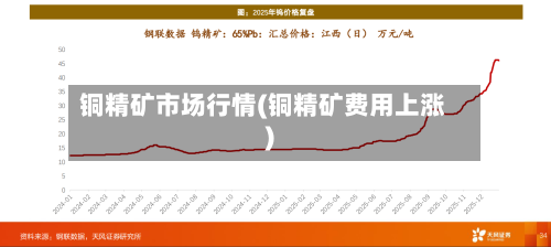 铜精矿市场行情(铜精矿费用上涨)-第3张图片