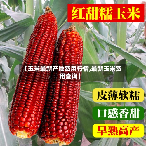 【玉米最新产地费用行情,最新玉米费用查询】-第2张图片