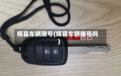 辉县车辆限号(辉县车辆限号吗)-第2张图片