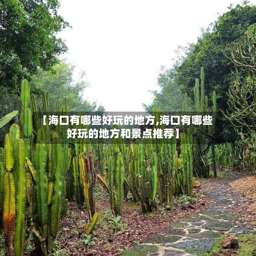 【海口有哪些好玩的地方,海口有哪些好玩的地方和景点推荐】