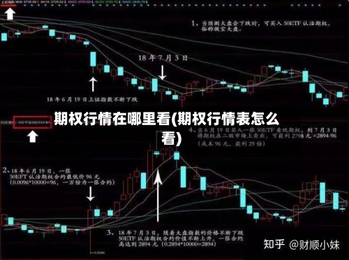 期权行情在哪里看(期权行情表怎么看)