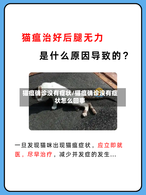 猫瘟确诊没有症状/猫瘟确诊没有症状怎么回事