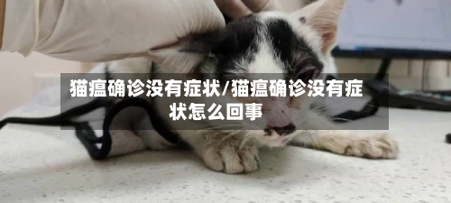 猫瘟确诊没有症状/猫瘟确诊没有症状怎么回事-第2张图片