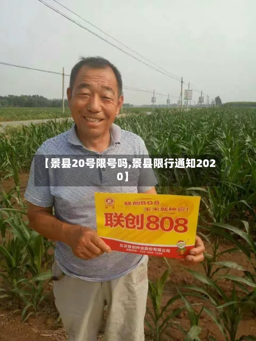 【景县20号限号吗,景县限行通知2020】