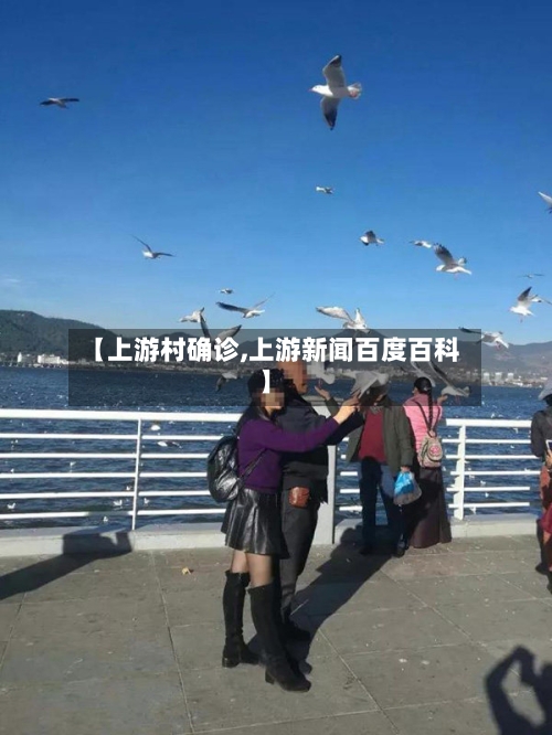 【上游村确诊,上游新闻百度百科】-第2张图片