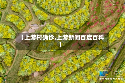 【上游村确诊,上游新闻百度百科】-第3张图片