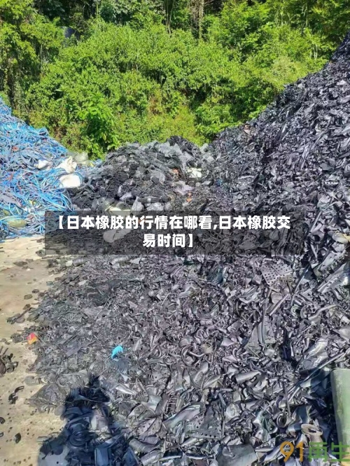 【日本橡胶的行情在哪看,日本橡胶交易时间】-第2张图片