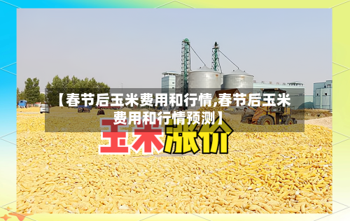 【春节后玉米费用和行情,春节后玉米费用和行情预测】-第3张图片