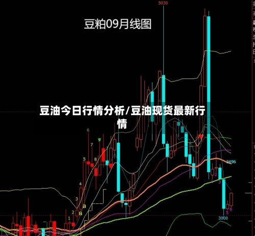 豆油今日行情分析/豆油现货最新行情