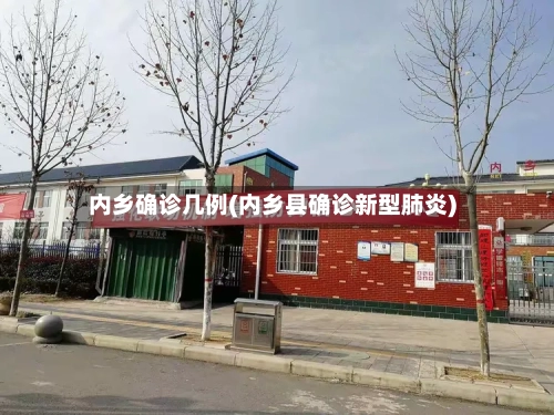 内乡确诊几例(内乡县确诊新型肺炎)