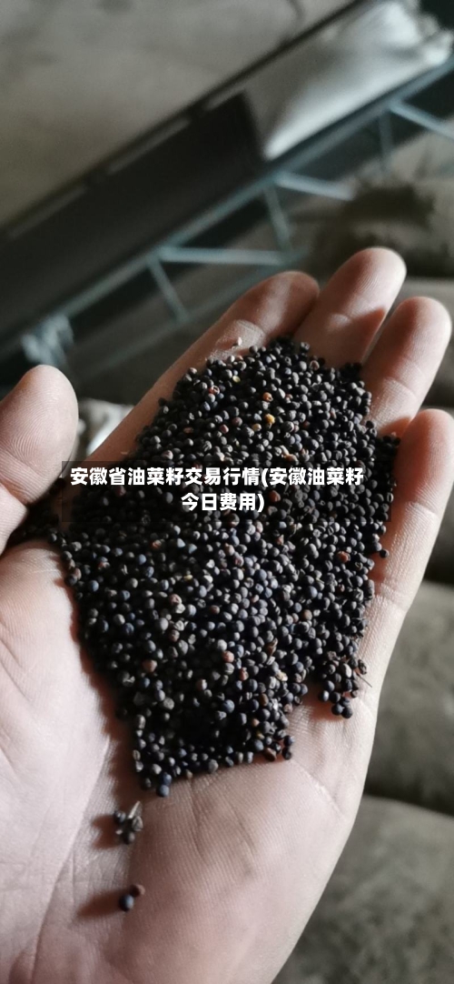安徽省油菜籽交易行情(安徽油菜籽今日费用)-第2张图片