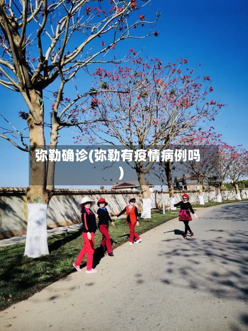 弥勒确诊(弥勒有疫情病例吗)