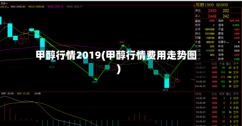 甲醇行情2019(甲醇行情费用走势图)