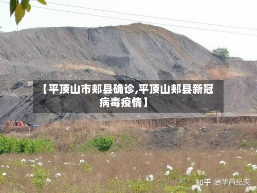【平顶山市郏县确诊,平顶山郏县新冠病毒疫情】-第2张图片