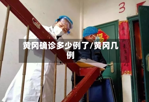 黄冈确诊多少例了/黄冈几例-第3张图片