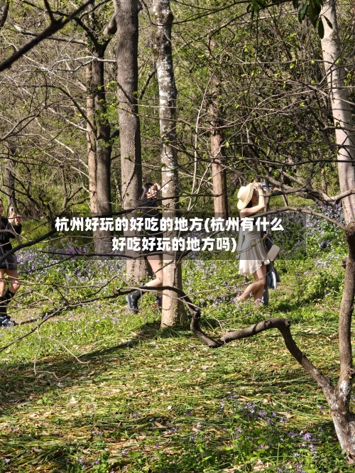 杭州好玩的好吃的地方(杭州有什么好吃好玩的地方吗)