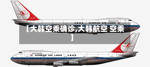 【大韩空乘确诊,大韩航空 空乘】-第3张图片
