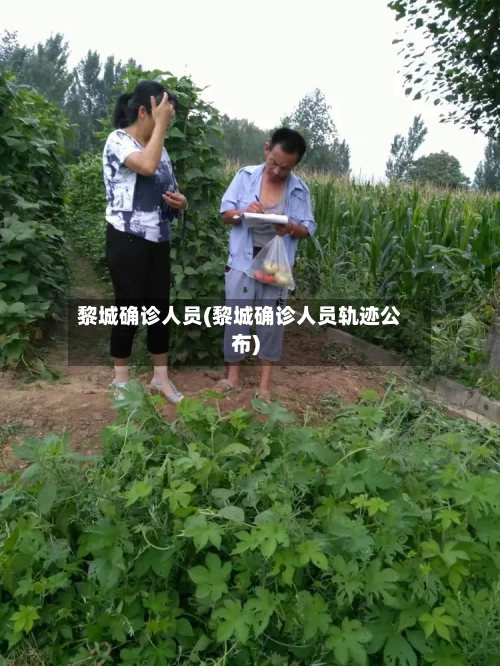 黎城确诊人员(黎城确诊人员轨迹公布)-第2张图片
