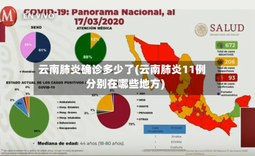 云南肺炎确诊多少了(云南肺炎11例分别在哪些地方)-第3张图片