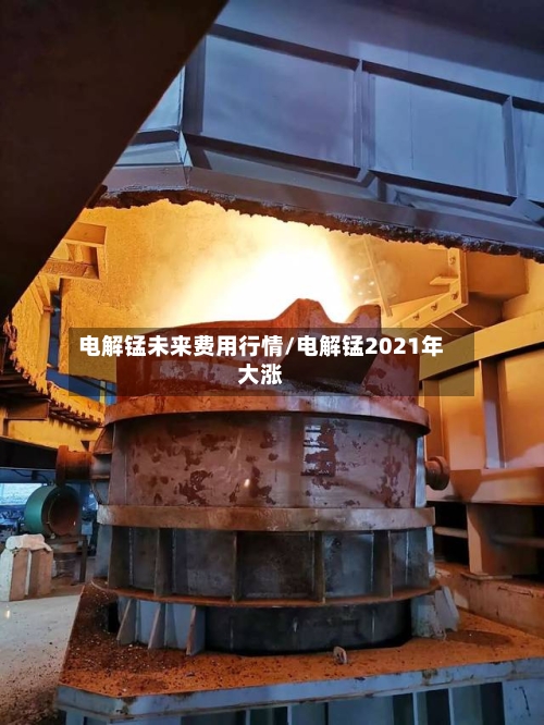 电解锰未来费用行情/电解锰2021年大涨-第1张图片