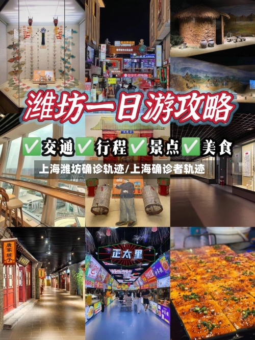 上海潍坊确诊轨迹/上海确诊者轨迹-第2张图片