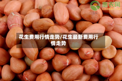 花生费用行情走势/花生最新费用行情走势