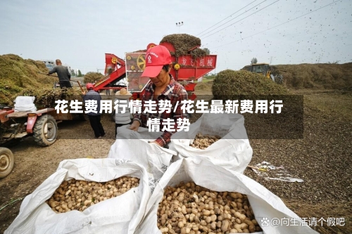花生费用行情走势/花生最新费用行情走势-第3张图片