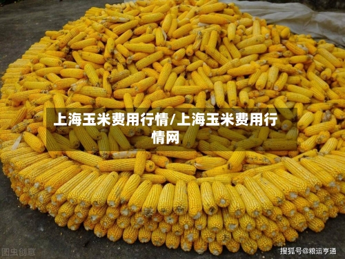 上海玉米费用行情/上海玉米费用行情网-第1张图片