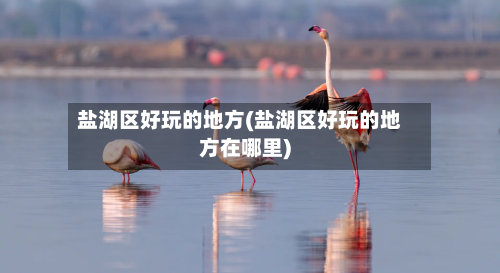 盐湖区好玩的地方(盐湖区好玩的地方在哪里)-第2张图片