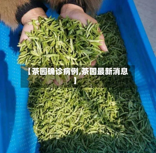【茶园确诊病例,茶园最新消息】-第1张图片