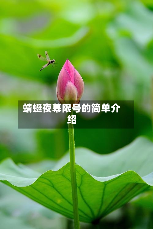 蜻蜓夜幕限号的简单介绍-第1张图片