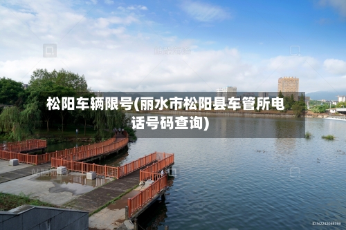 松阳车辆限号(丽水市松阳县车管所电话号码查询)