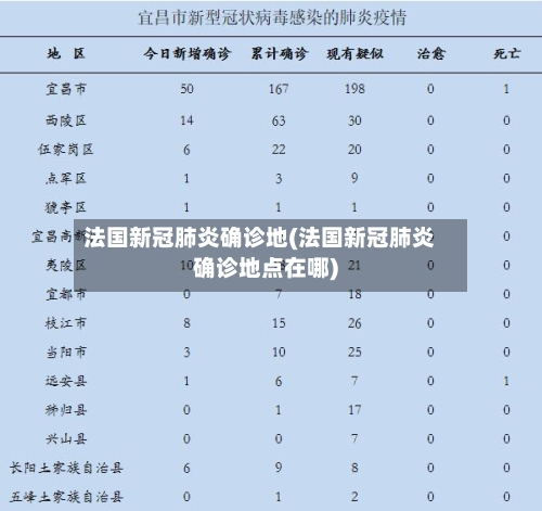 法国新冠肺炎确诊地(法国新冠肺炎确诊地点在哪)-第2张图片