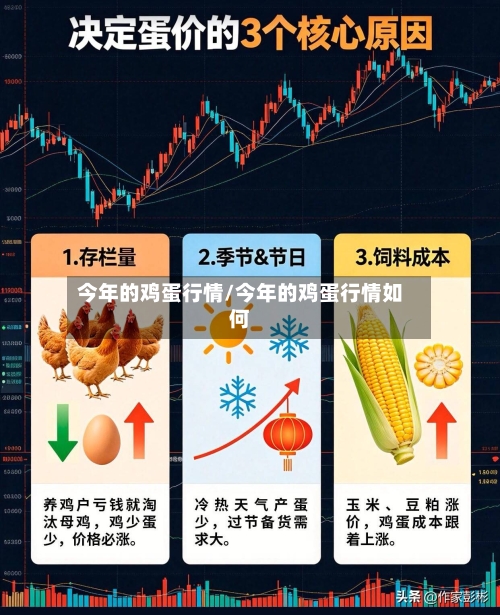 今年的鸡蛋行情/今年的鸡蛋行情如何