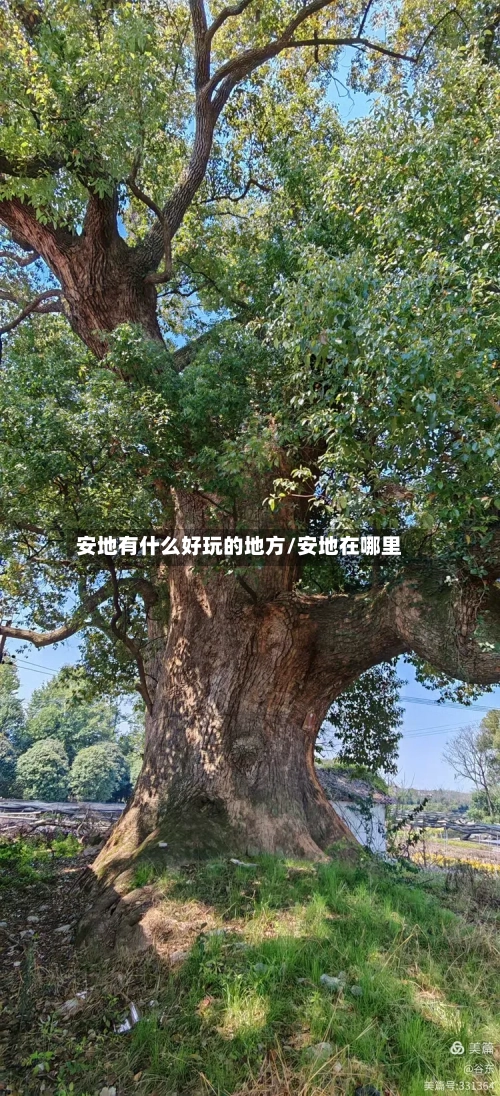 安地有什么好玩的地方/安地在哪里
